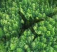 Honeywell v Brně se stal lídrem nových projektů za 5 miliard korun na výzkum udržitelných technologií pro dopravní letadla. Zapojí se vědci a inženýři z celé Evropy